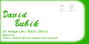 david bubik business card